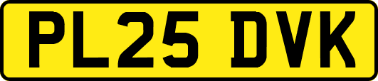 PL25DVK