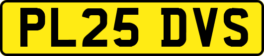 PL25DVS