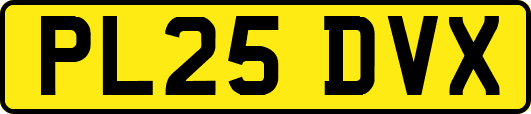 PL25DVX