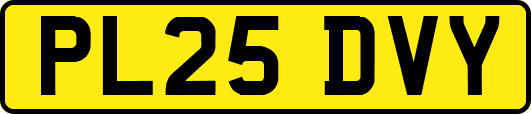 PL25DVY