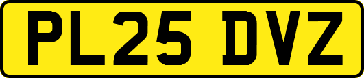 PL25DVZ