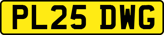 PL25DWG