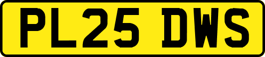 PL25DWS