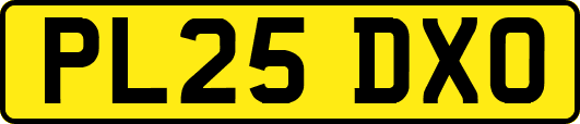 PL25DXO