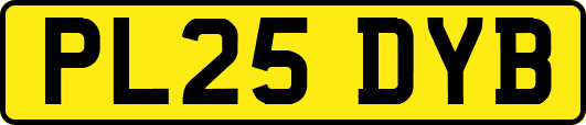 PL25DYB