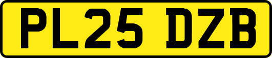 PL25DZB