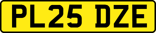 PL25DZE