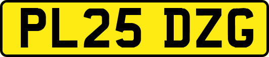 PL25DZG