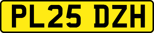 PL25DZH
