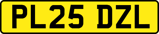 PL25DZL