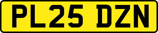 PL25DZN
