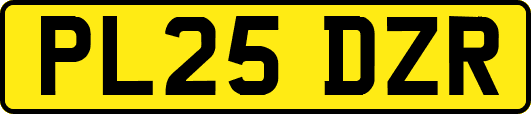 PL25DZR