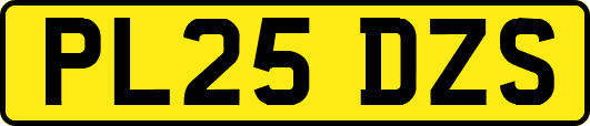 PL25DZS