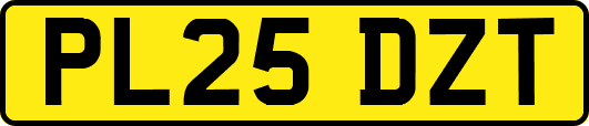 PL25DZT