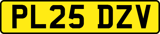 PL25DZV
