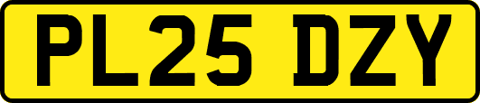 PL25DZY