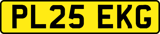 PL25EKG