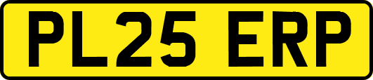 PL25ERP