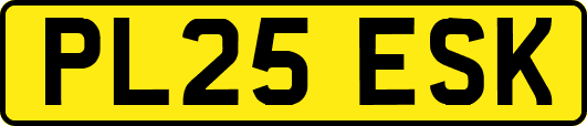 PL25ESK