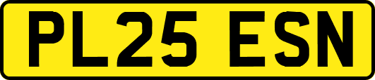 PL25ESN