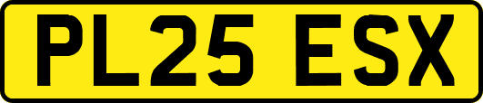PL25ESX