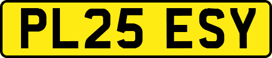 PL25ESY
