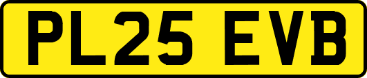PL25EVB
