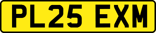 PL25EXM