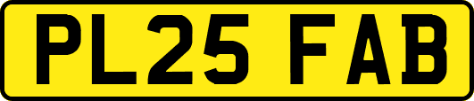 PL25FAB