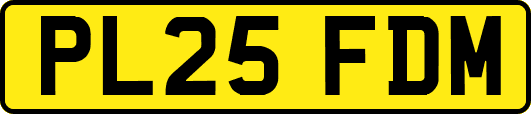PL25FDM