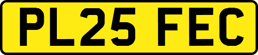 PL25FEC