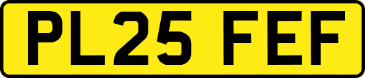 PL25FEF