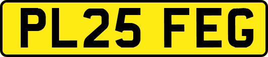 PL25FEG