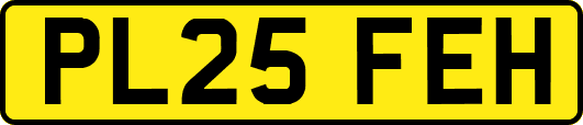 PL25FEH