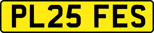 PL25FES