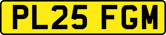 PL25FGM