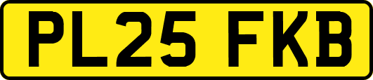 PL25FKB