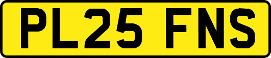 PL25FNS