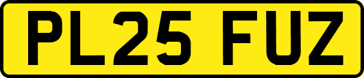 PL25FUZ