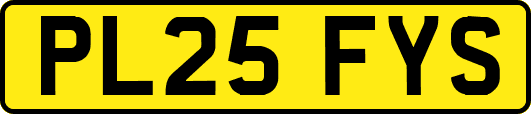 PL25FYS