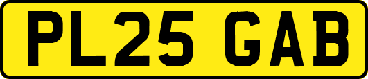 PL25GAB