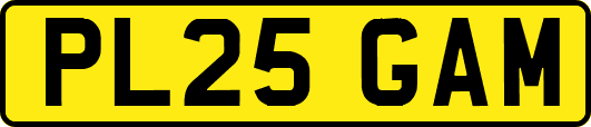 PL25GAM