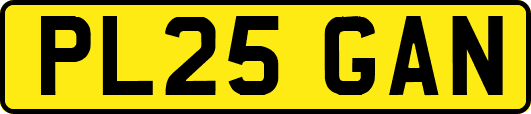 PL25GAN