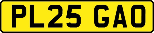PL25GAO