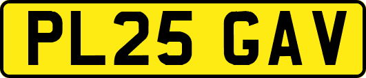 PL25GAV