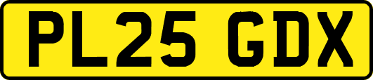 PL25GDX