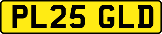 PL25GLD