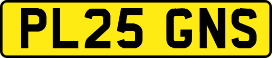 PL25GNS