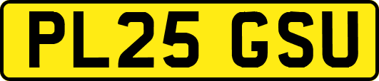 PL25GSU