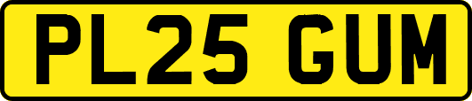 PL25GUM